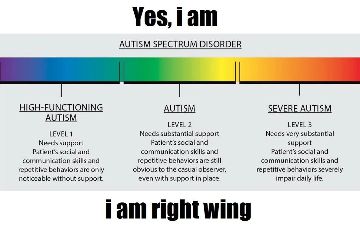 High functioning Autism. Autism Spectrum Disorder. Levels of Autism. Autistic traits.