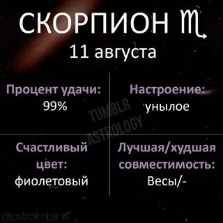 Гороскоп скорпион на 2023 женщинам
