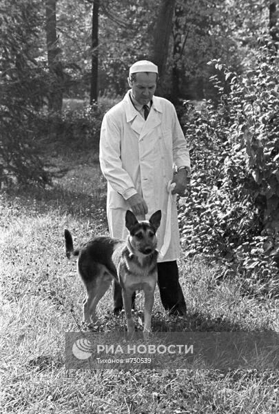 Демихов трансплантолог. Демихов. Демихов модель органа. Владимира петровича демихова. В п демихов.