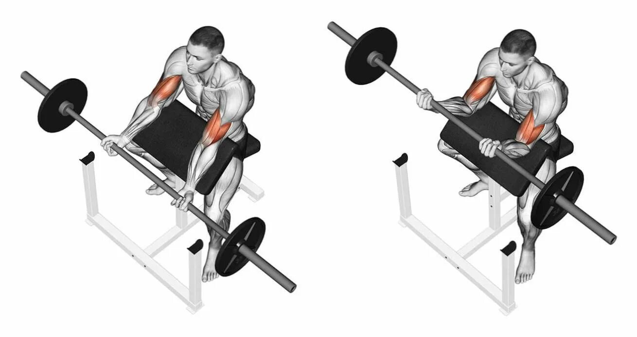 Подъем ez грифа на бицепс. Подъем штанги на бицепс стоя. Подъем штанги на бицепс изогнутым грифом. Подъем штанги с ez-грифом на бицепс. Какой гриф лучше для бицепса.