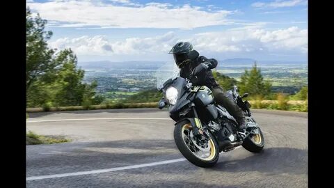Suzuki v strom 1000