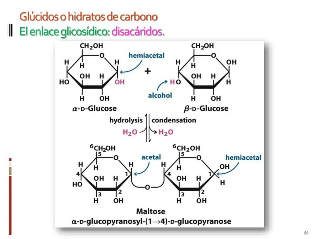 При гидролизе фруктозы образуется. Бета 1 4 гликозидная связь. Дисахариды 1,3 гликозидная связь. 1-4 Гликозидная связь Глюкоза. Лактоза Тип гликозидной связи.