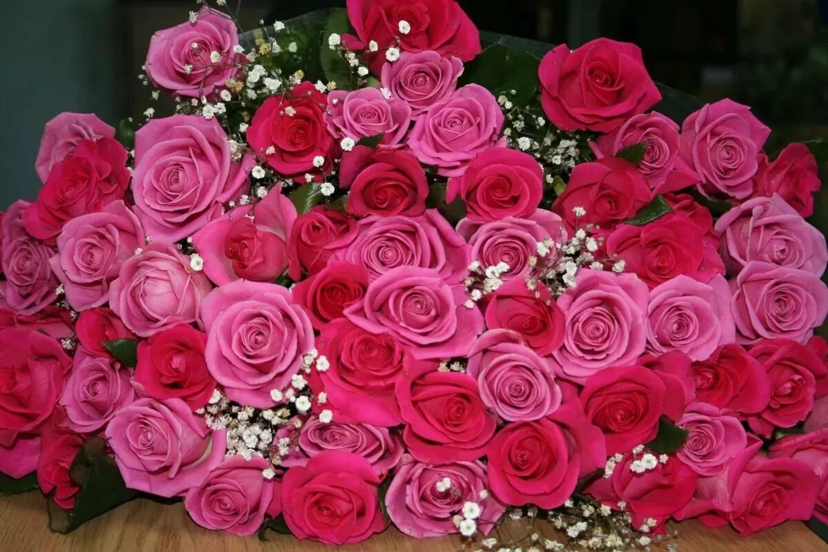 С днем рождения огромные розы. Букет шикарный. Шикарные цветы. Шикарный букет роз. Роскошный цвет.
