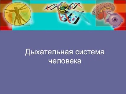 Дыхание презентация 3 класс