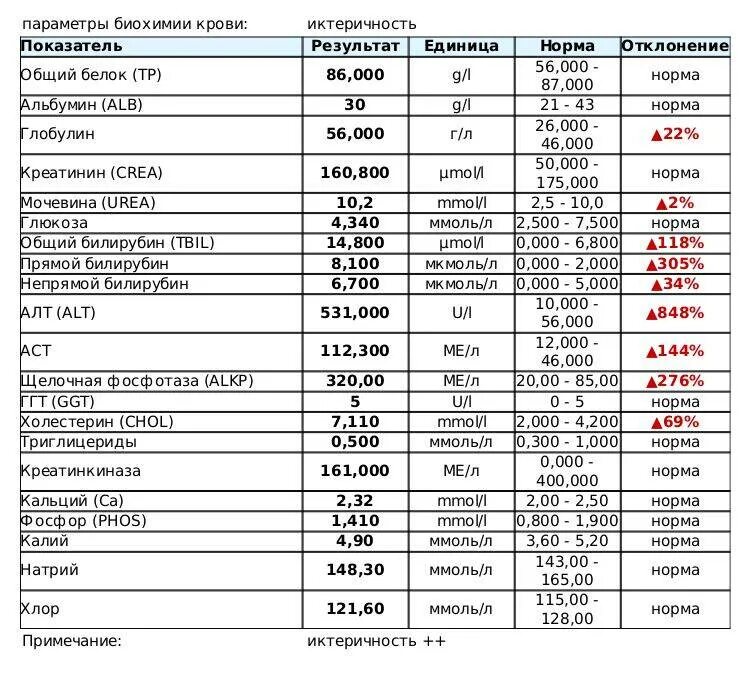 Завышены показатели алт. Расшифровка анализа крови roma. алт анализ норма. алт повышен кот. повышено алт у кота.