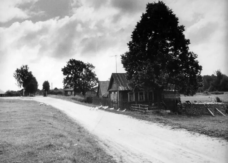 Деревня белая. Деревня Старо-черная. История деревни Старая черная. Деревня Пахомлевичи, Лепельского уезда. Исторические фото Белынич.