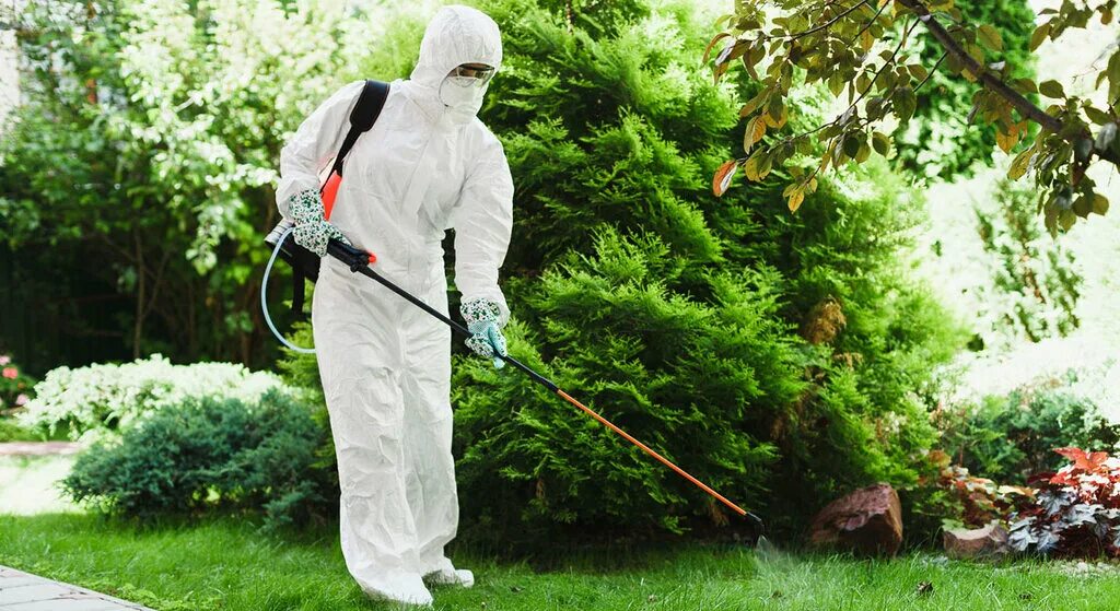 опыливание пестицидами. опрыскивание деревьев. опрыскиватель садовый для вредителей. обработка от насекомых. обработка участков от насекомых.