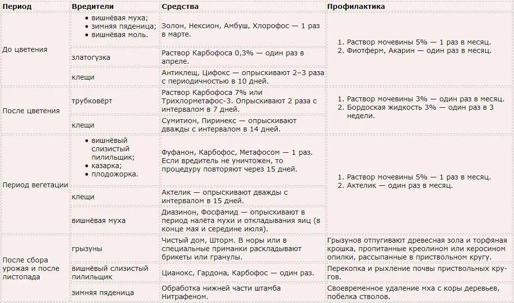 Обработка вишни после цветения от вредителей