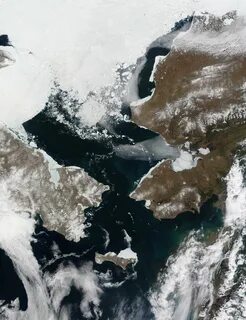 Балтийское белое берингово черное
