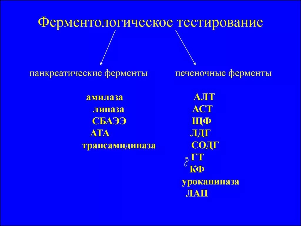 За что отвечают ферменты печени