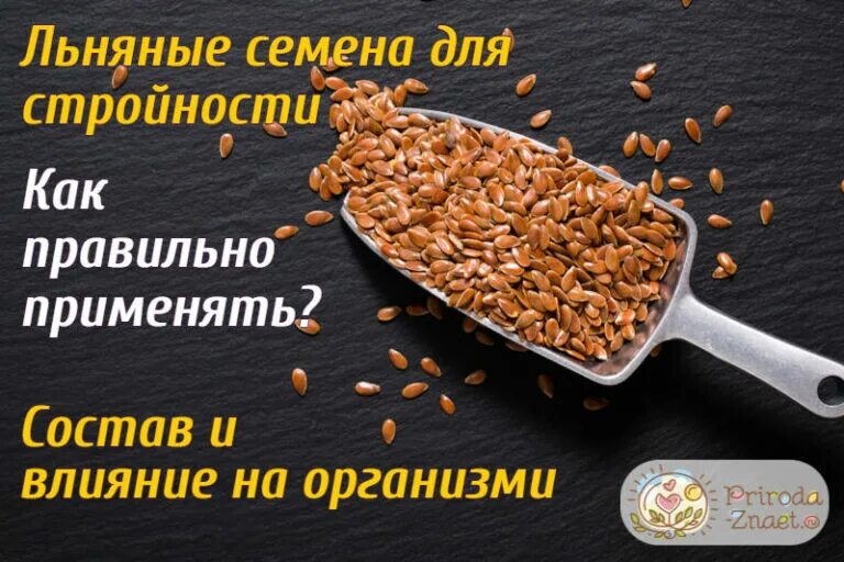 Как использовать семена льна для похудения правильно. Семена льна для похудения. льняное семя для похудения. зерна льна для похудения. льняные семена для похудения.