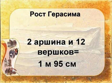 Двенадцати вершков роста