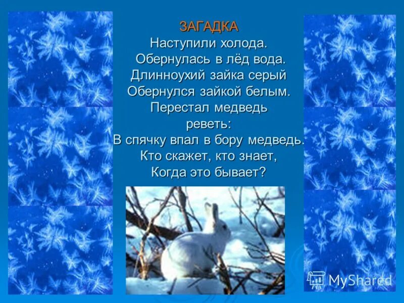 Чувствительный к холоду ответ. Загадки про снег. Загадки про лед. Загадка про холод. Загадки о зимних явлениях.