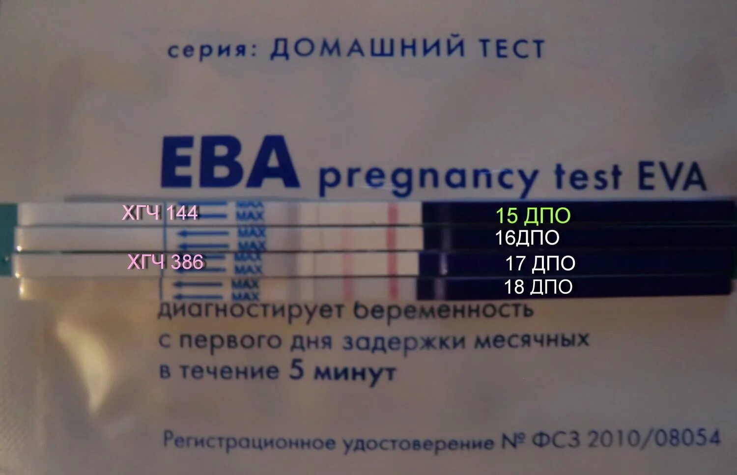 Тест положительный потом отрицательный. Хгч тест на беременность. тест на беременность ева положительный. тест ева и хгч. тест на беременность ева тест.