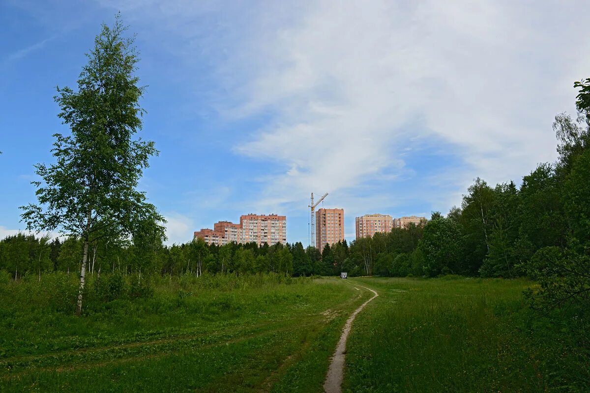 Купить участок в обнинском. Белкинский овраг Обнинск. Город Обнинск Калужской области. Горнолыжка Обнинск. Обнинск лес прогулка.