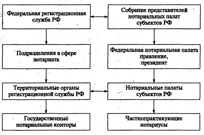 Органы нотариата рф. Структура органов нотариата в РФ. Система органов нотариата в РФ схема. Организационная структура органов нотариата в РФ. Структура управления нотариальной палаты.