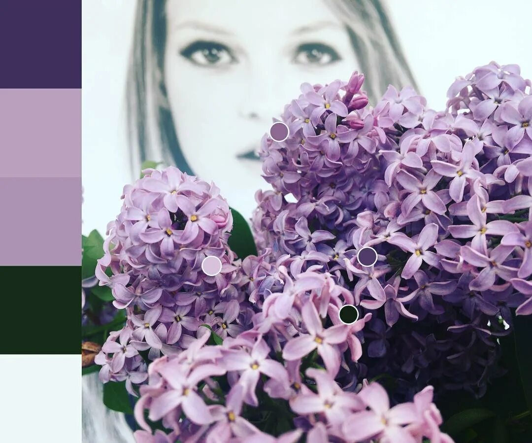 Diferencia entre violeta y morado
