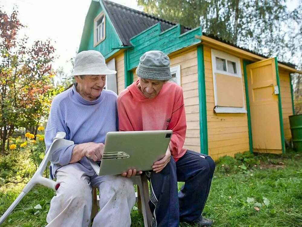 дачный ландшафт уральский. российская дача. дачный ландшафт. старые советские дачи. огород в теплице.
