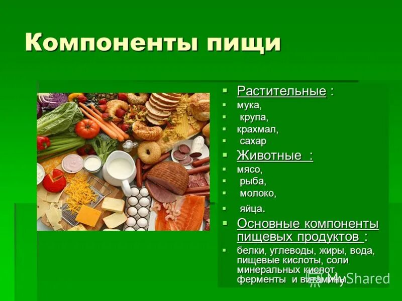 Влияние углеводов на организм человека. Состав пищи. Углеводы состоят из. Конструктор питания белки жиры углеводы.