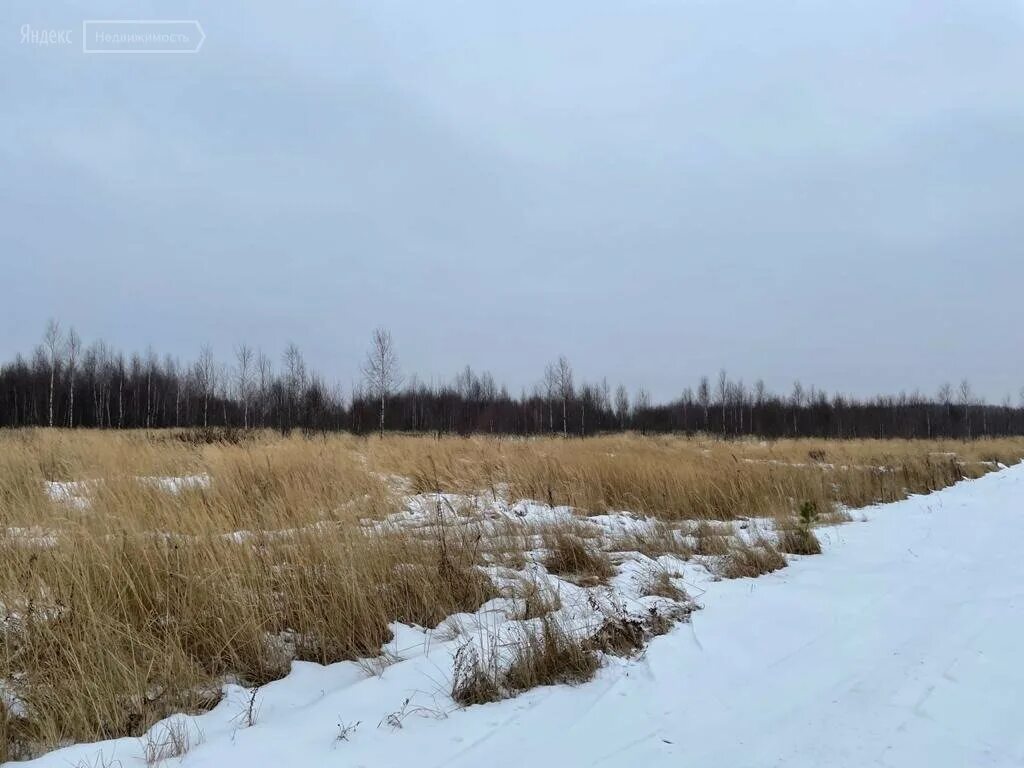 620 участок. Зоркальцево томск. Участок около зоркальцево. Поселок новоискитимск кемерово. Среднее райково отзывы.