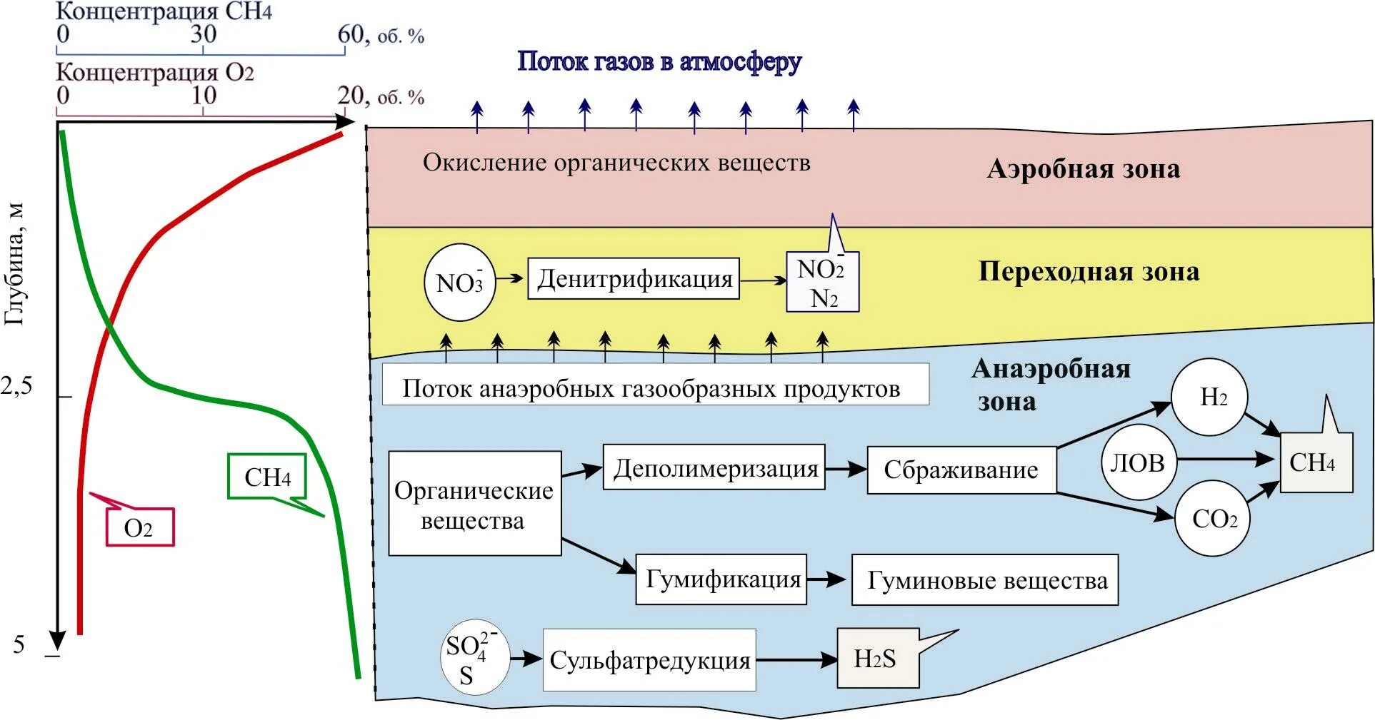 Анаэробное разложение. Процесс анаэробного разложения органических соединений. Аэробная и анаэробная обработка отходов. Анаэробные процессы на свалках отходов. Аэробное окисление веществ