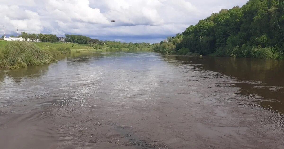 Угра подъем воды. Река Угра Товарково. Разлив реки Угра. Угра в Якшуново. Разлив угры Товарково.