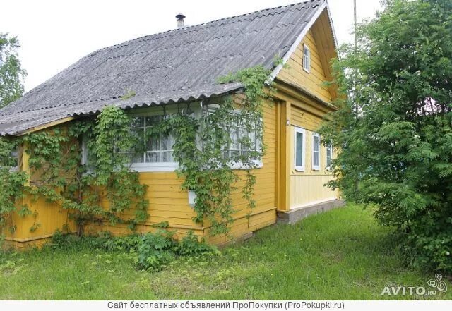 Дом в деревне Новгородская область. Кирпичный дом в Новгородской области. Дачи в Новгородской области. Домик в деревне Коростынь Новгородской области. Авито в новгород частные объявления