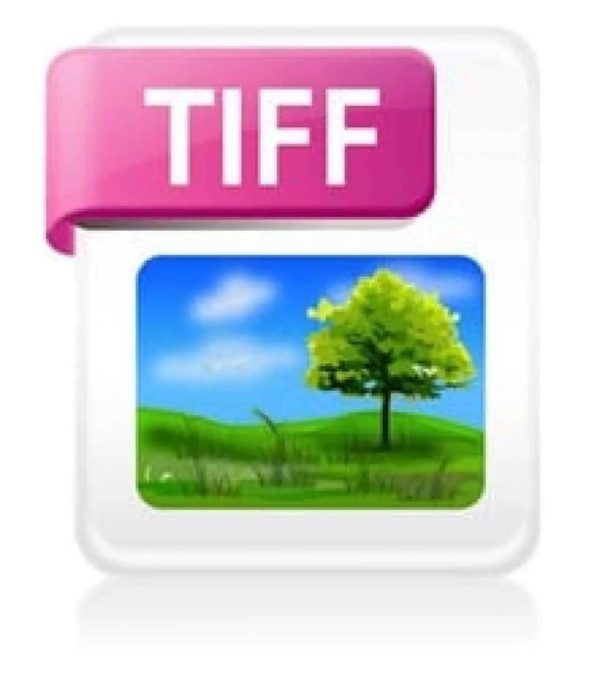 Tiff old. TIFF файл. TIFF картинки. Tif иконка. Графический файл в формате TIFF.