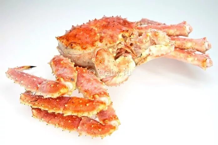 Как варить варено мороженого краба. Краб камчатский, стригун, волосатик. Салат из краба натурального. Клешни камчатского краба. Клешни камчатского краба.