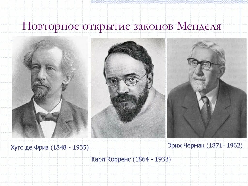 Х де фриз. Эрих Чермак-Зейзенегг. Эрих Чермак генетика. Де фриз Чермак и Корренс.