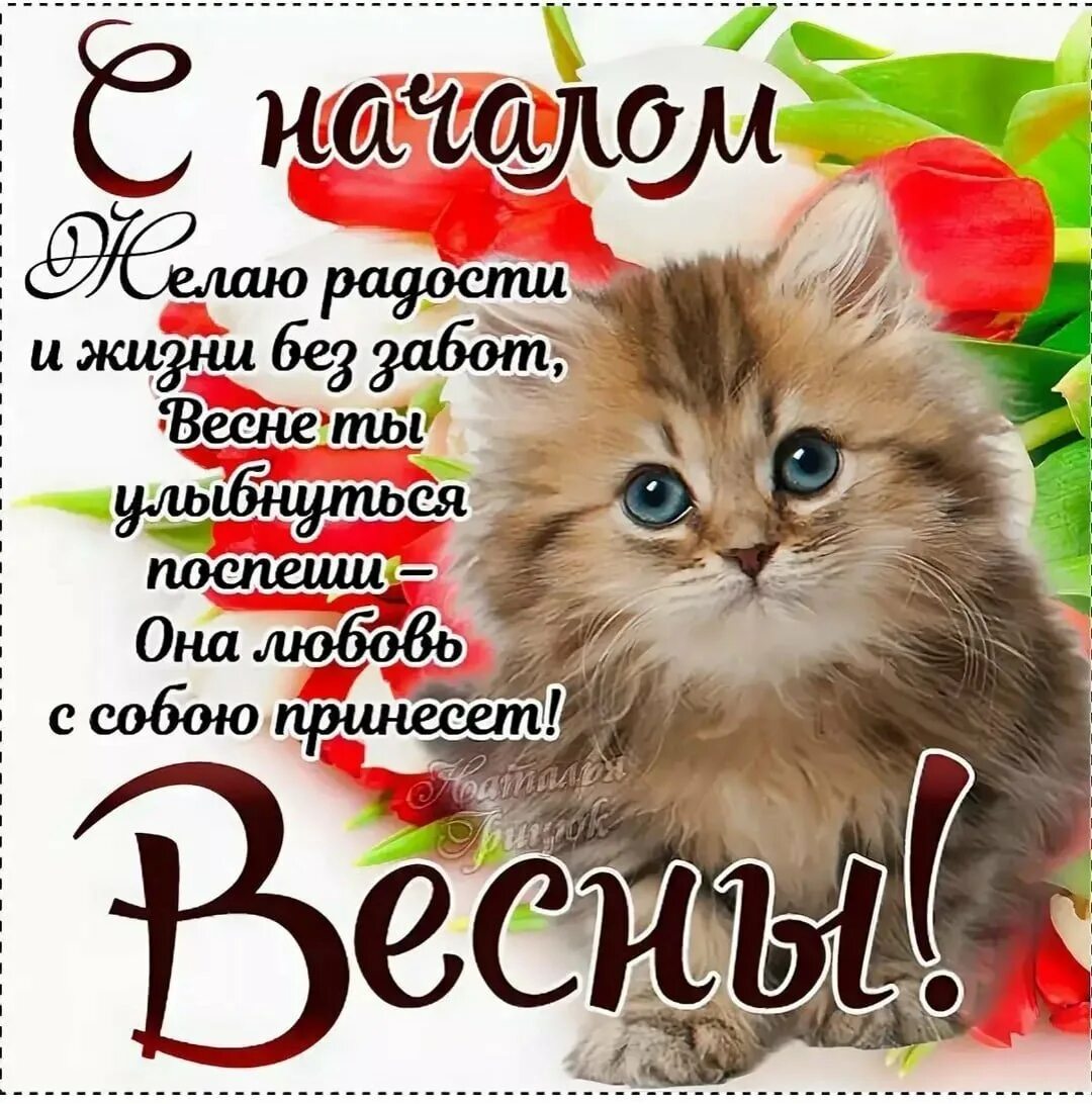 С началом весны. Открытки поздравления с началом весны. Поздравление с первым днем весны.