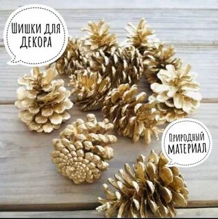 Молочная шишка