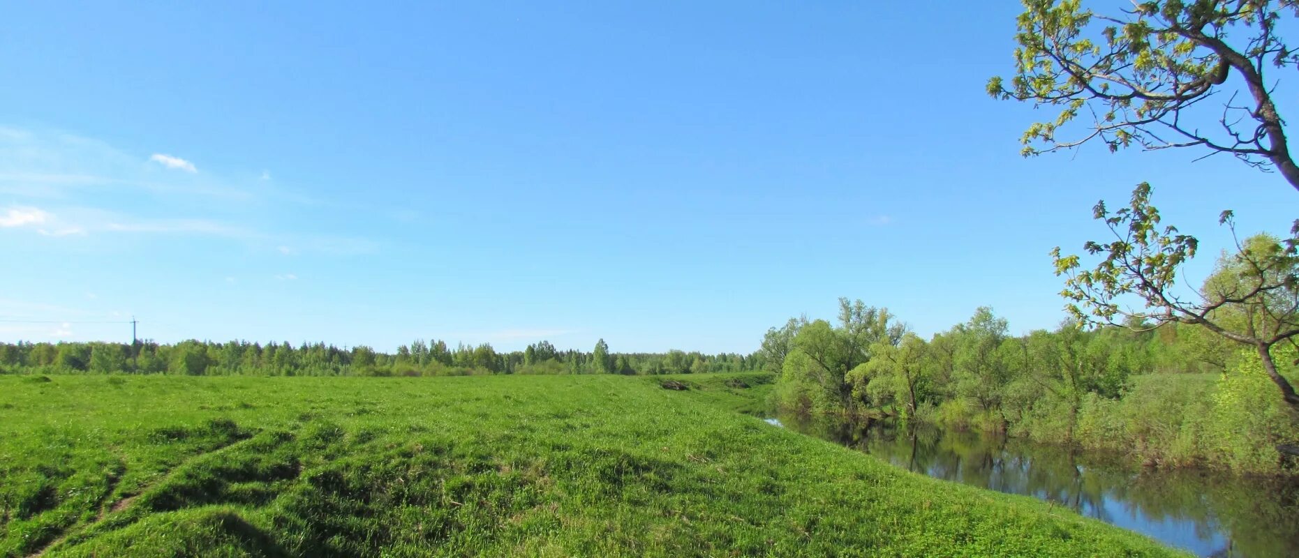 Н п новгородское. Русско деревня Новгородский район. Поля Новгородской области. Сельское поселение «деревня Шумятино». Деревня Чириково Старорусского района Новгородской области.