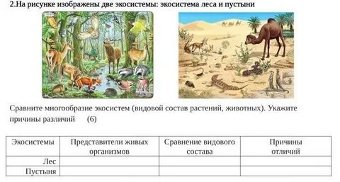 Биогеоценоз тест