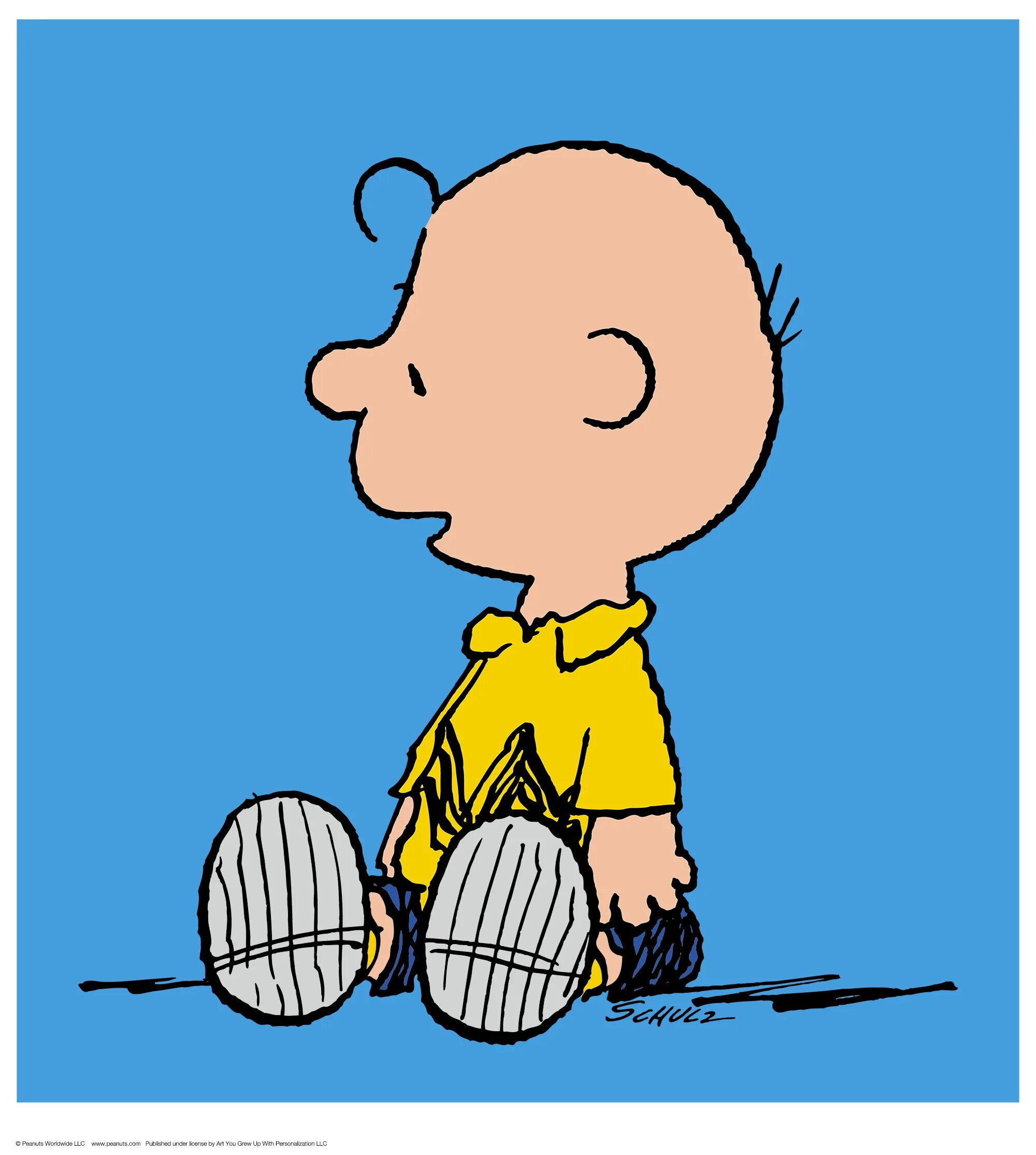 Charlie brown. Чарли Браун. Peanuts Charlie Brown. Чарли Браун Peanuts персонаж.