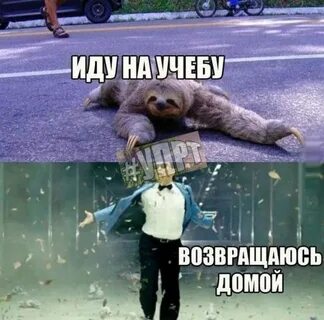 Сам не свой иду домой