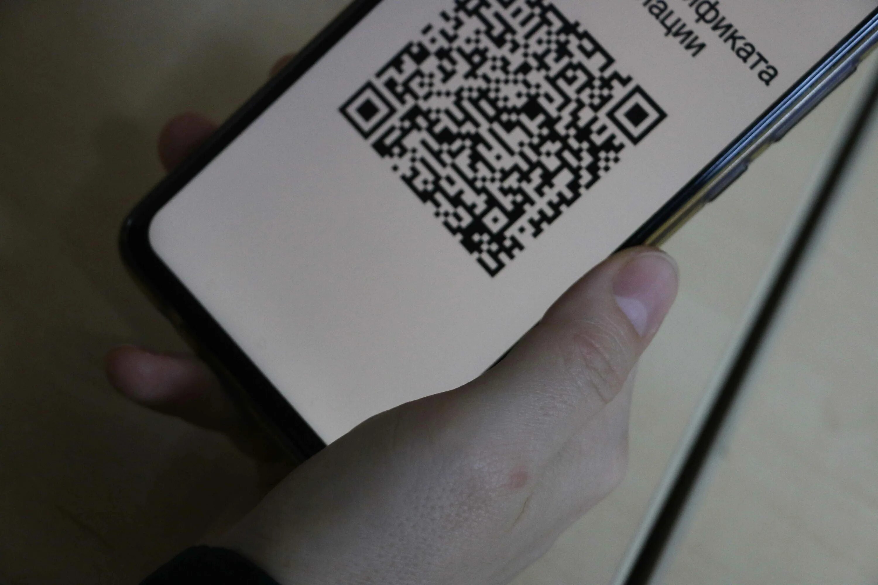 Qr коды в музеях. QR коды в Тульской области. QR-коды в кафе и ресторанах. Наш QR код в кафе. QR коды в маркетинге.