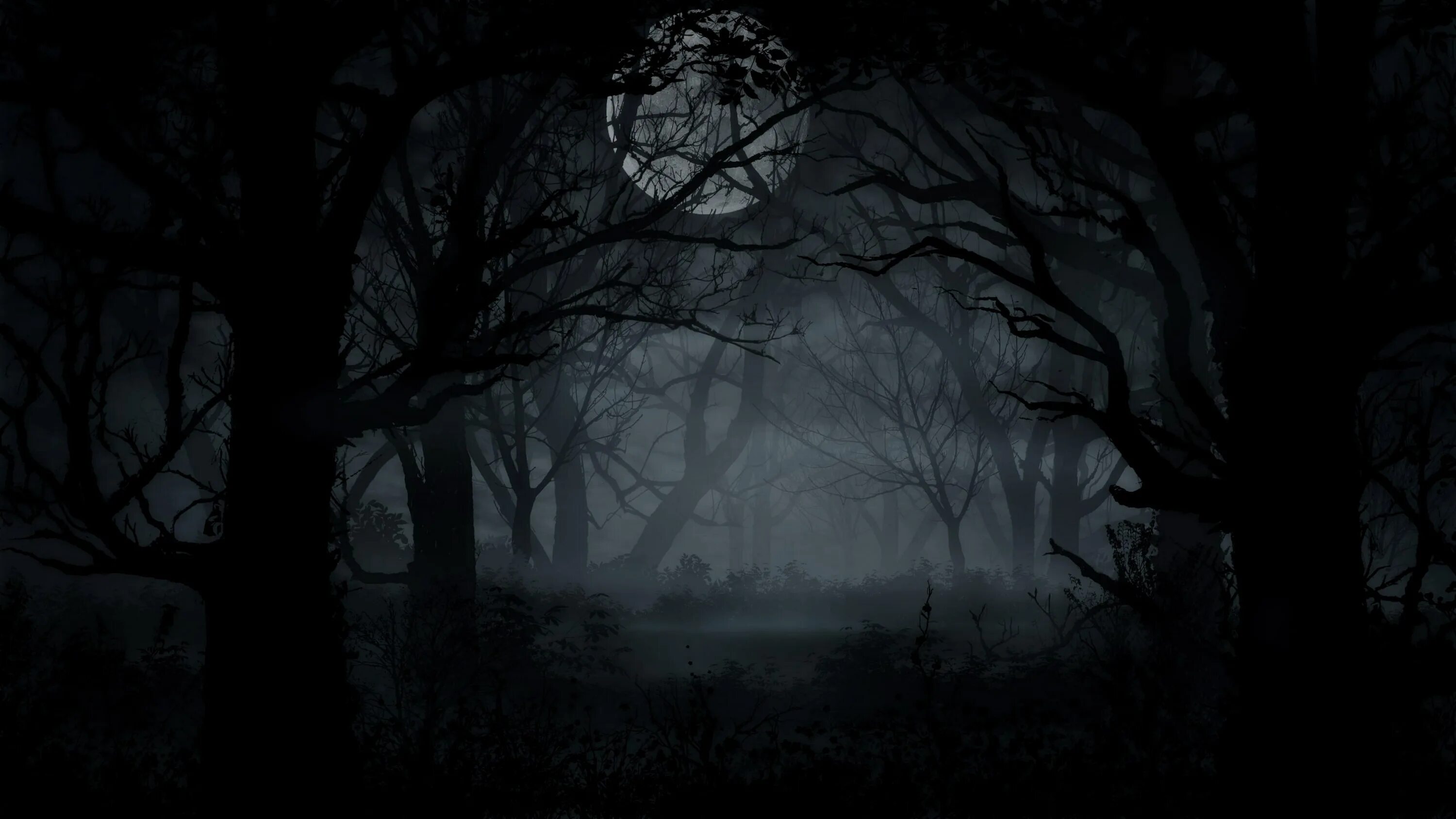 Мрачный лес. Темный лес. Мрачный пейзаж. Лес темный страшный.