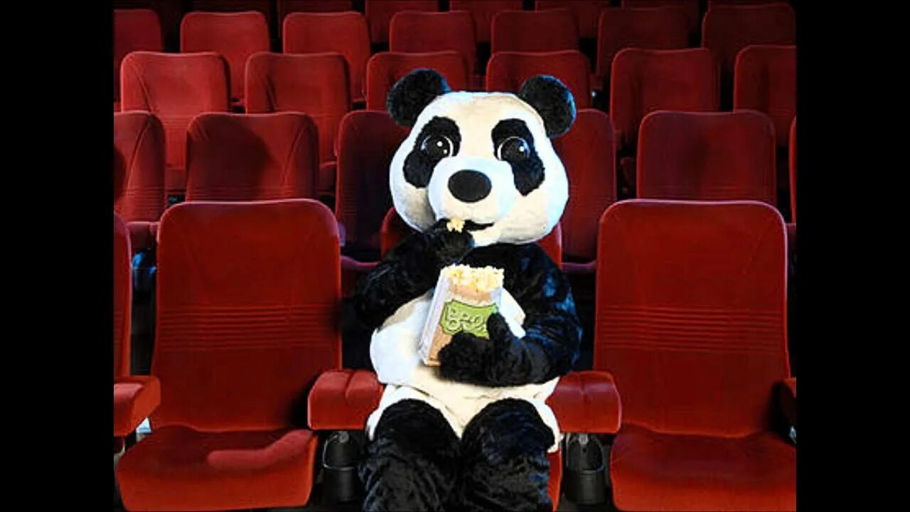 Панда режиссер. Панда с попкорном. Панда ест попкорн. Электро Панда. Медведь ест попкорн.