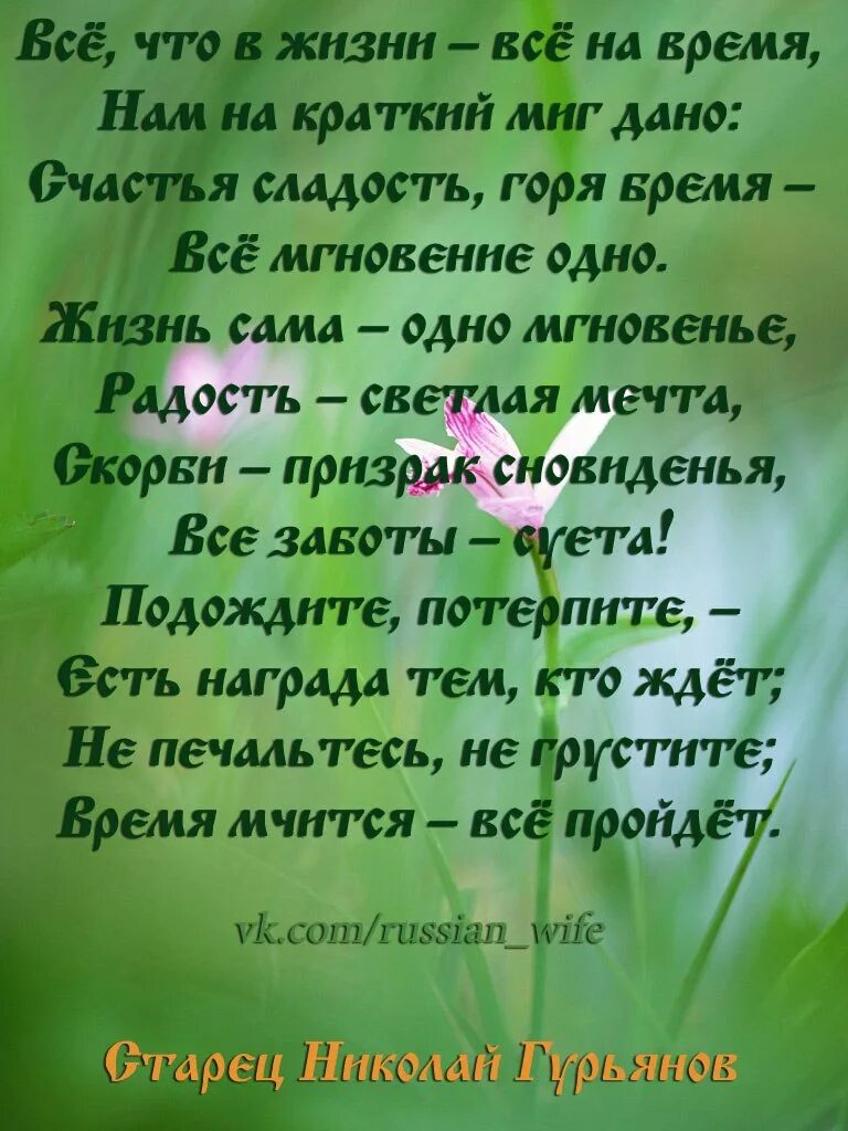 9 жизней стих. Жизненное стихотворение. Стихи о жизни. Красивые стихи о жизни. Стихотворение про жизнь.