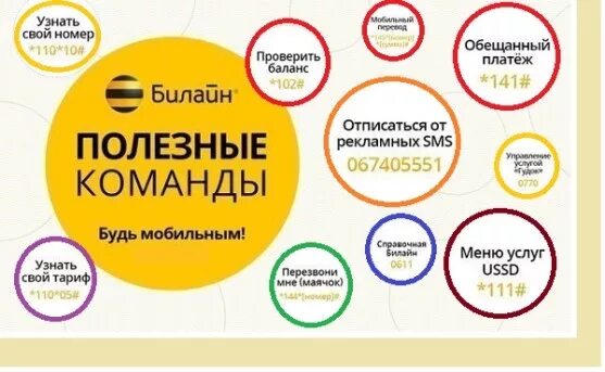 Как проверить свой номер Билайн. Как узнать номер на билайне свой номер. Как проверить номер телефона Билайн Россия. Полезные команды Билайн.