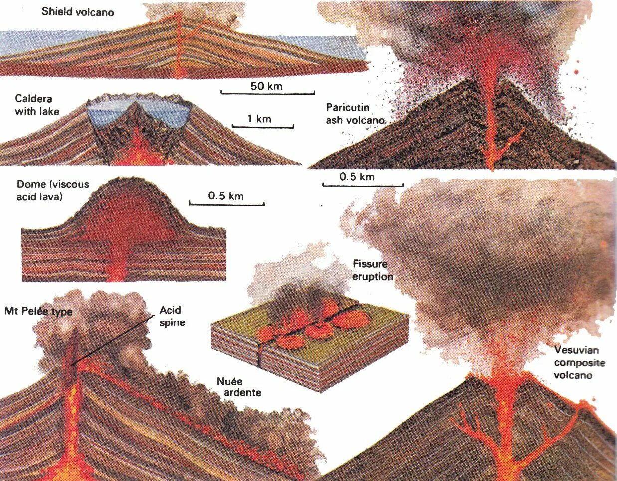 Пелейский Тип извержения вулкана. Классификация извержения вулканов. Классификация вулканов по форме. Вулканы строение типы извержений. Формы вулканов 5
