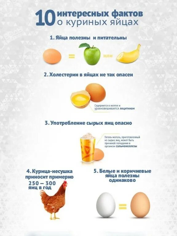 Сколько можно есть курицу. Самые интересные факты о яйцах. Интересные факты о яйцах куриных. Что полезного в яйцах куриных. Чем полезны яйца куриные.
