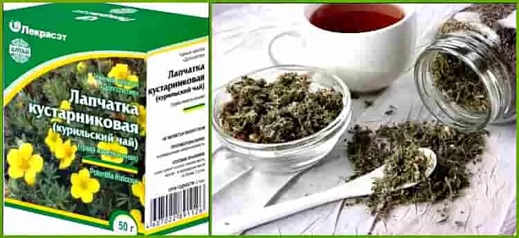 Что входит в состав курильского чая?. Курильский чай лечебные. Лапчатка голдфингер. Курильский чай (лапчатка). Курильский чай (лапчатка).