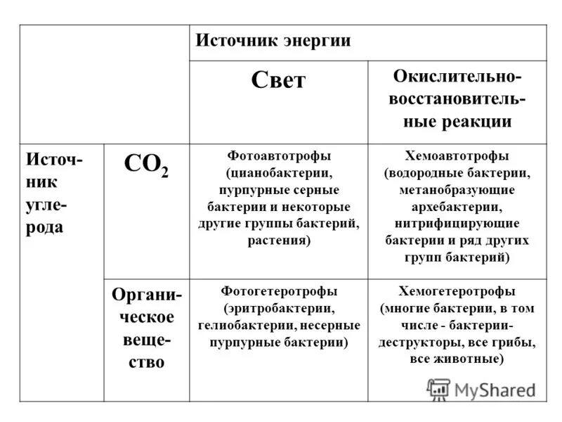 существительное среднего рода. тюль род мужской или женский. слова в среднем роде. склонение несклоняемых существительных. мужской женский средний род.