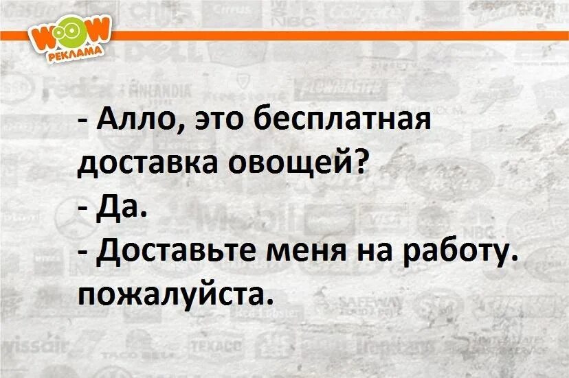 Алло база база песня. Алло это доставка овощей. Алло это доставка овощей доставьте меня на работу. Алло это доставка овощей доставьте. Это доставка овощей доставьте меня.