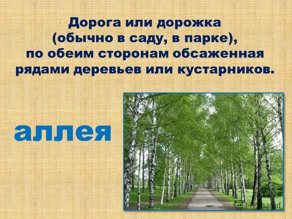 дорога широкая а тропинка. калининград последние солдаты вермахта аллея деревьев. развилка дорог. дорога с рядами деревьев по обеим сторонам. по обоим или обеим.