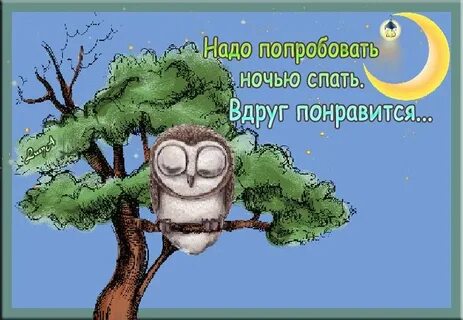 Смешные картинки надо