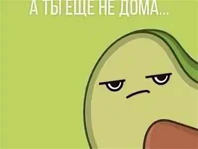 Даже 11