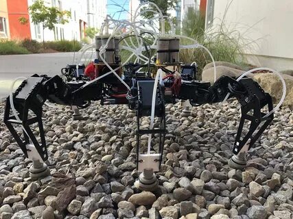 Legged robots